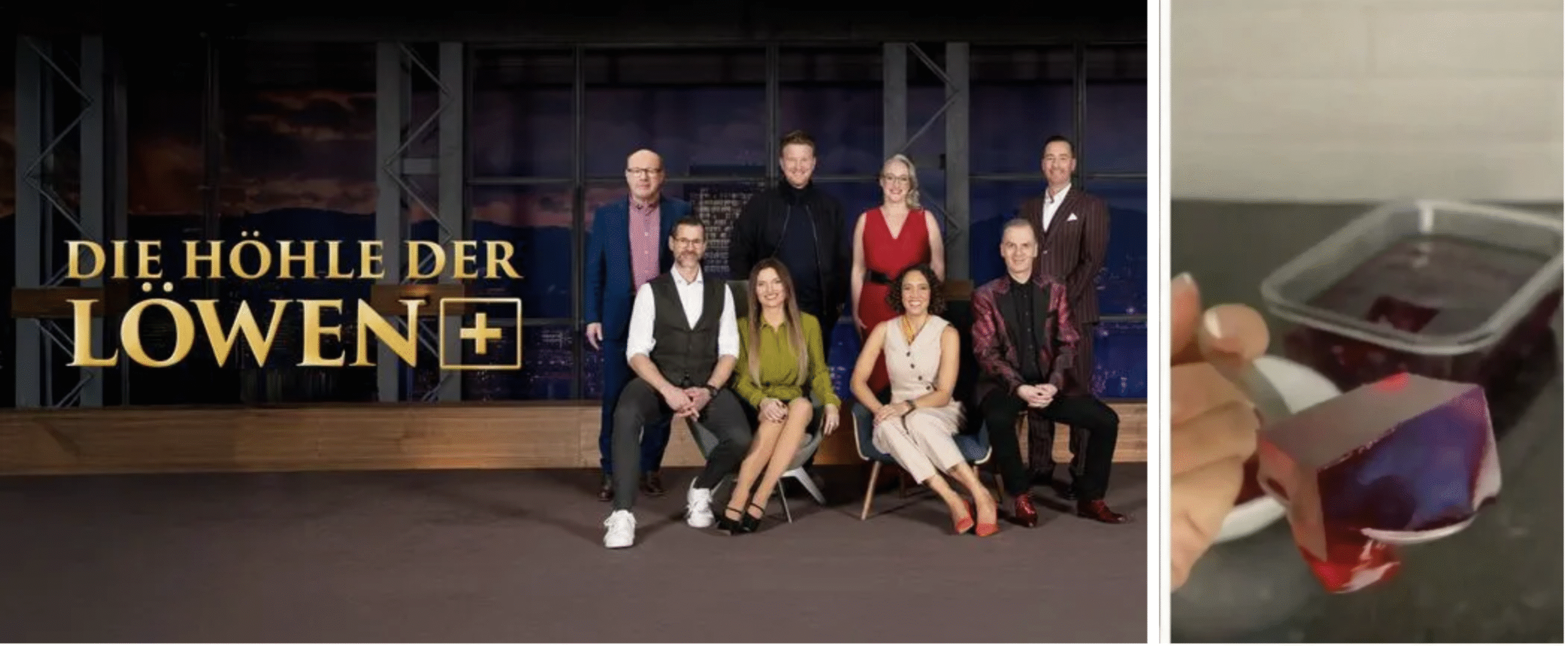 Die Höhle der Löwen Jury